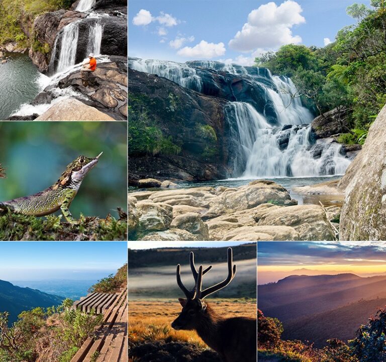 1772a306-874d-44ea-b1f2-7337ff790363